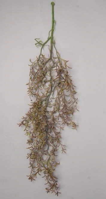 Sting of Bananas Leaves Hanging